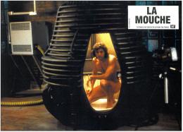 La Mouche