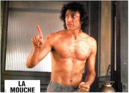 La Mouche