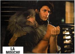 La Mouche