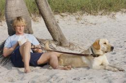 Marley et moi
