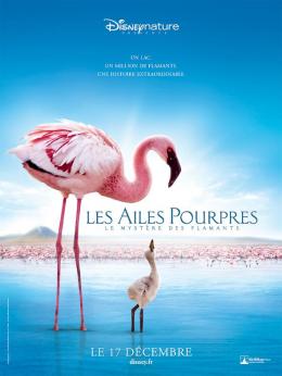 Les Ailes Pourpres : le mystère des flamants