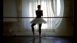 La Danse - Le Ballet de l