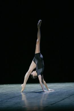 La Danse - Le Ballet de l