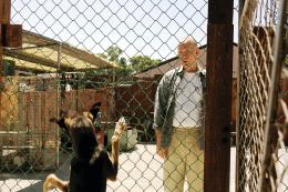 John Malkovich