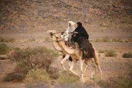 Le Grand Voyage d
