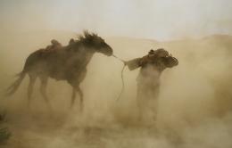 Le Grand Voyage d