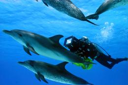 Voyage sous les mers 3D