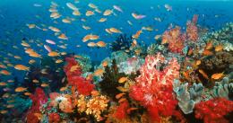 Voyage sous les mers 3D