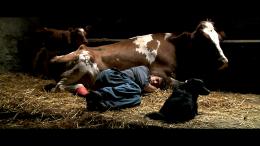 Coeur animal