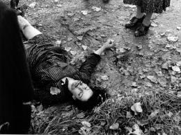 Sc�nes de chasse en Bavi�re