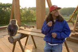 Tom Shadyac