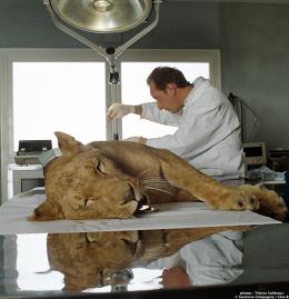 Entre ses mains