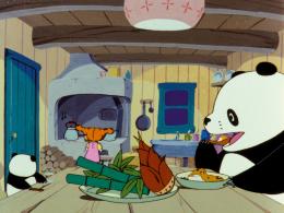 Panda petit panda