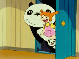 Panda petit panda
