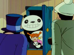 Panda petit panda