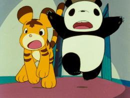 Panda petit panda