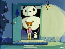 Panda petit panda