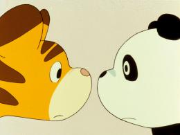 Panda petit panda