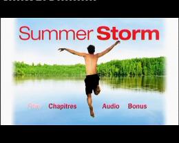 Summer Storm