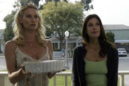 Nicollette Sheridan