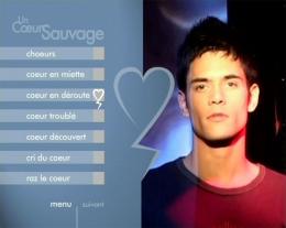 Un Coeur Sauvage