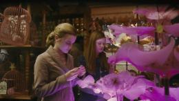 Harry Potter et le Prince de sang mêlé