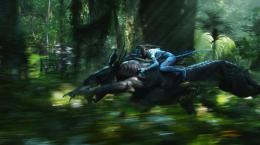 Avatar Special Edition