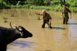 Tonnerre sous les tropiques