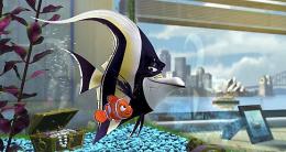 Le monde de Nemo