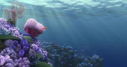 Le monde de Nemo