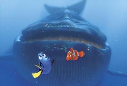 Le monde de Nemo