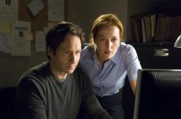 X-files : Regeneration