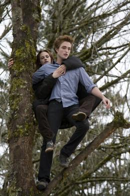 Twilight - Chapitre 1 : Fascination