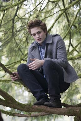 Twilight - Chapitre 1 : Fascination