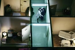 Human Zoo