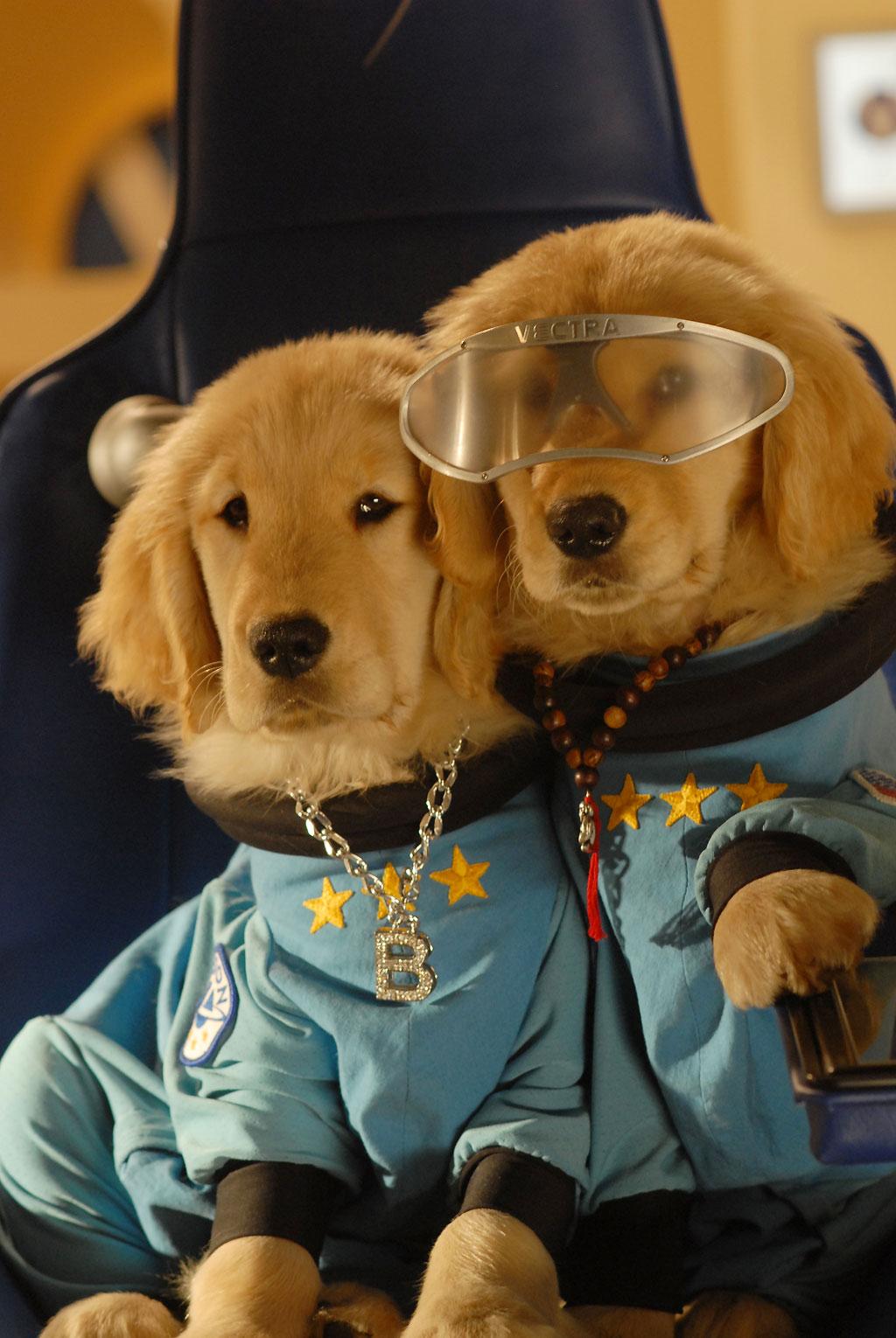 Les Copains Dans L Espace Photos (1/11) Les Copains Dans L'Espace - Comme Au Cinéma