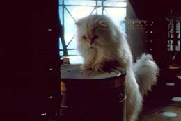 Stuart Little 2