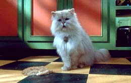 Stuart Little 2