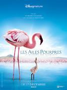 Les Ailes Pourpres : le mystère des flamants