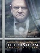 Into the storm
