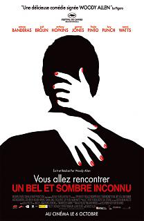 Avis sur Vous allez rencontrer un bel et sombre inconnu