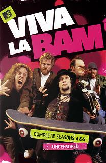 Viva la Bam' - Saisons 4 et 5