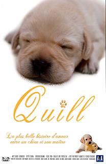 Quill - La plus belle histoire d'amour entre un chien et son maitre Quill - La plus belle histoire d'amour entre un chien et son maitre