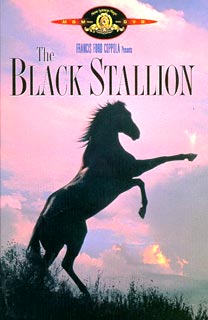 L'etalon noir